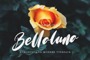 Bellaluna: A Font That Breathes Life Into Editorial Design