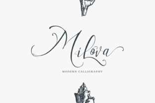 Choosing the Right Font: Milova for a Sophisticated Digital Brand