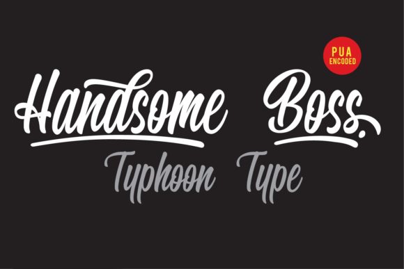 Handsome Boss: A Font That Elevates Your Brand