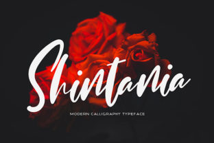 Shintania: A Script Font for Editorial Elegance